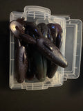 Floating Classic Croaker
