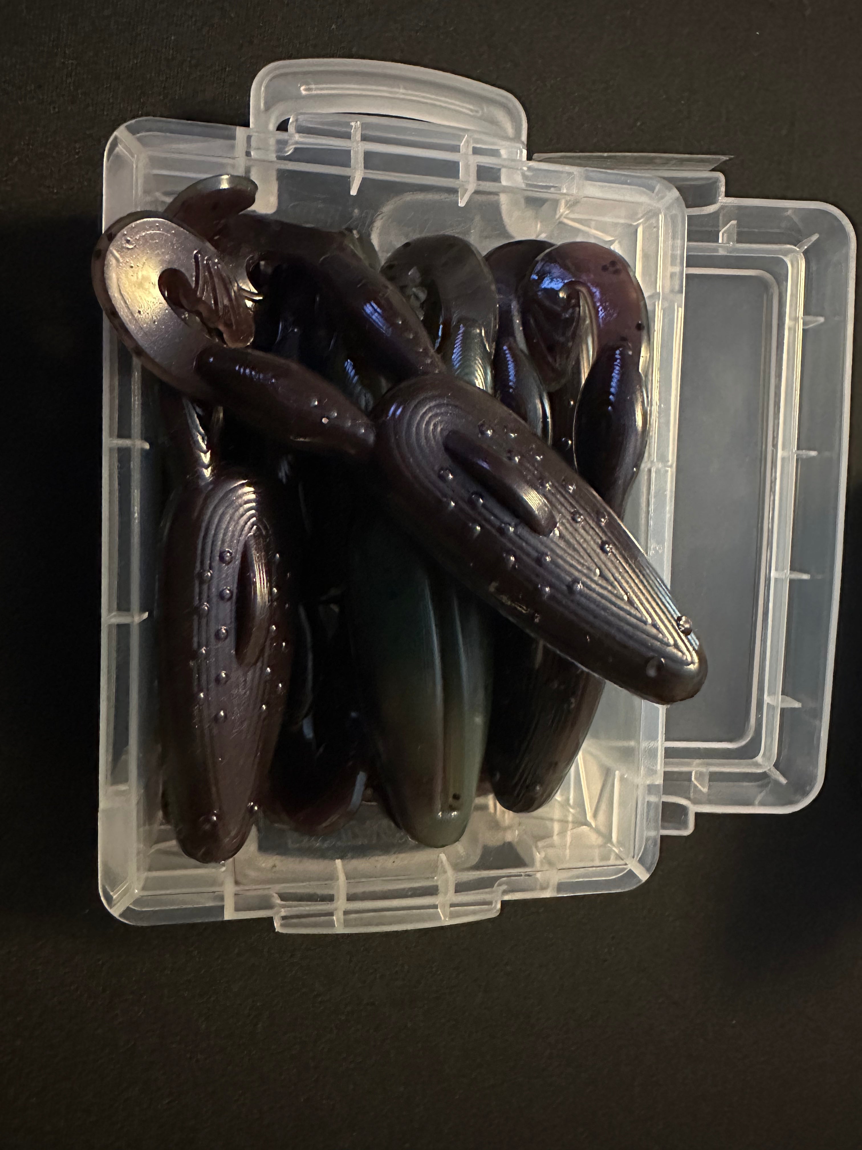 Floating Classic Croaker